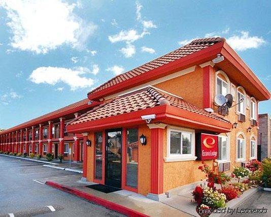 Driftwood Motel Santa Clara Ngoại thất bức ảnh